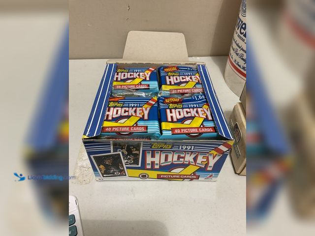 Lot 49-1835313 - Other FACTORY SEALED 1991 TOPPS HOCKEY WAX PACK BOX OF 24 PACKS ALL SEALED #COINS0723