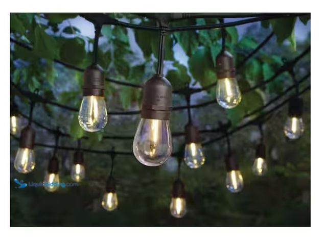 Lot 49-1622566 - 24-Light 48-Ft Indoor/Outdoor Plug-In LED Edison Bulb String Light, Slightly Used Condition, Powers ...