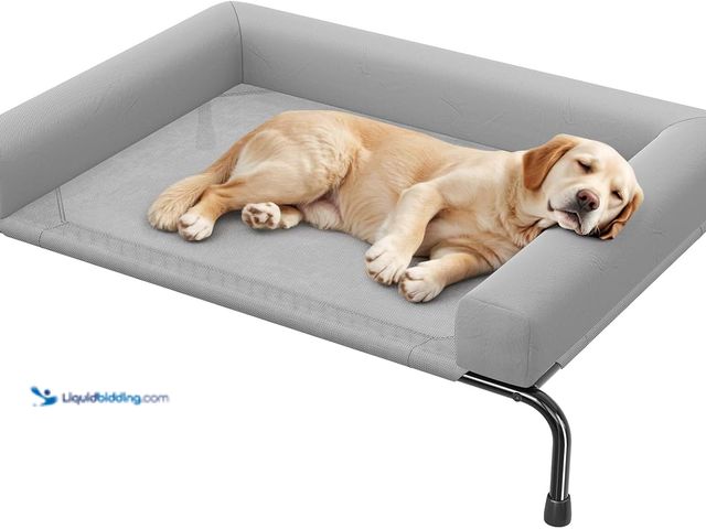Lot 49-5572354 - Simple Trending Elevated Dog Bed for Large Dogs with Bolsters, Grey. Model: b0fhpxrbt8. Unused, no h...