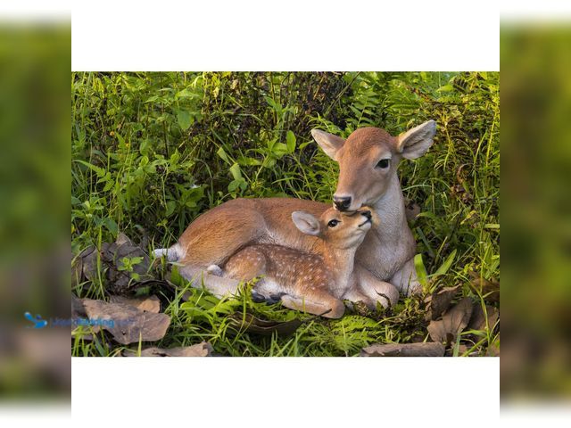 Lot 49-5447948 - Cuddling Mother and Baby Deer Garden Statue. [Model # 87996-B] Unused