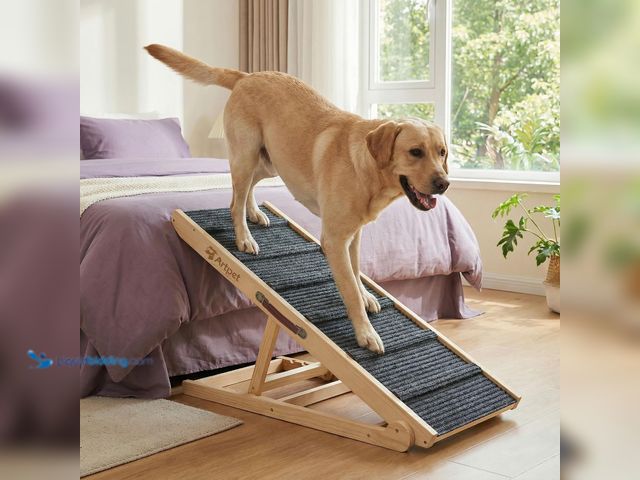 Lot 49-5546096 - Wide Dog Ramp for Bed Couch Folding Dog Ramps for Large Dogs Up to 200 lbs, 43.3" Long Pet Ramp Adju...