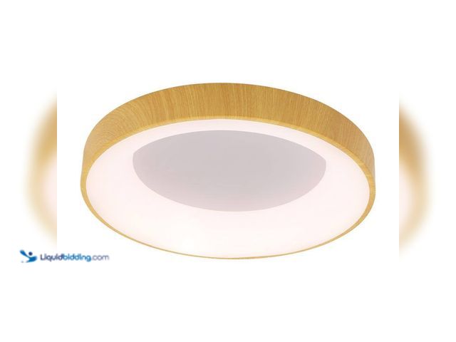 Lot 49-5484841 - 18.5 in. 1-Light Modern Wood 3 Colors Selectable LED Flush Mount Ceiling Light with Acrylic Shade Un...