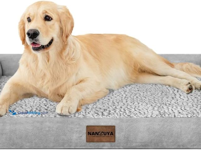 Lot 49-5437726 - Large Dog Bed Orthopedic Washable: Beds Bolster XL Bed Large Big Dogs Memory Foam Couch Sofa Waterpr...