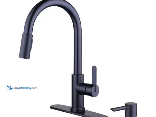 Lot 49-2020552 - Glacier Bay Paulina Single-Handle Pull-Down Sprayer Kitchen Faucet with TurboSpray, FastMount, Soap ...