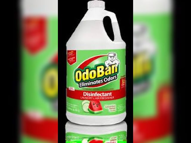 Lot 49-1562604 - Lot of (3) OdoBan 1 Gal. Cucumber Melon Disinfectant, Laundry and Air Freshener, Mold and Mildew Con...