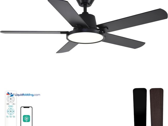 Lot 49-5406679 - Orison Ceiling Fans with Lights, 52 inch Low Profile Ceiling Fan with RGB Backlight, Flush Mount Cei...