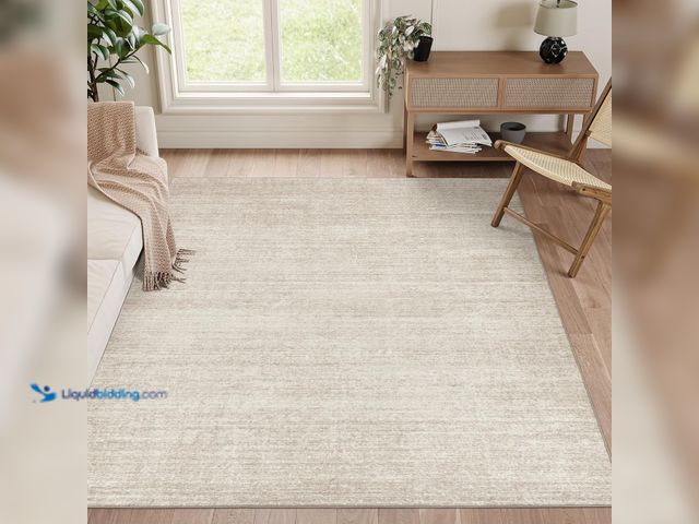 Lot 49-5447975 - Valenrug Washable Rugs - Stain Resistant 9ft x 6ft Area Rugs for Living Room, Non Slip Backing Print...