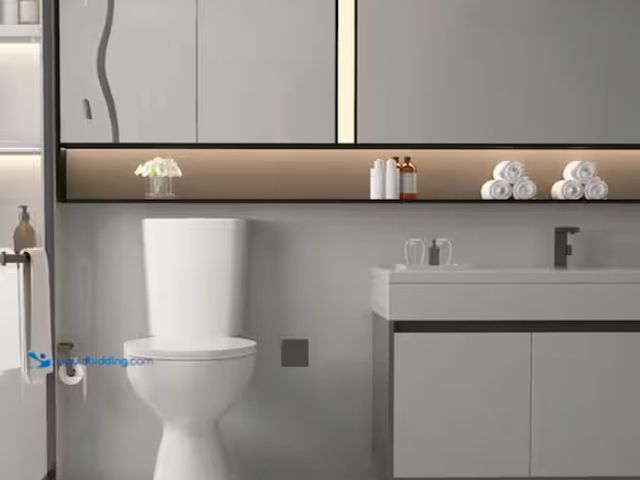 Lot 49-1578181 - Simple Project 19 in. Rear Discharge Toilet 2-Piece 1.0/1.6 GPF Dual Flush Round Toilet in White, Se...