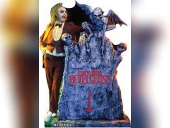 Lot 49-3522137 - undefined