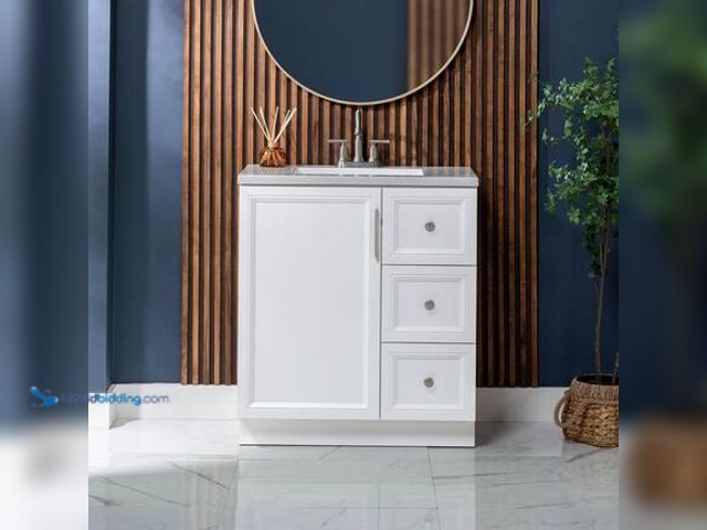 Lot 49-5546385 - Glacier Bay
Bannon 31 in. Single Sink White Freestanding Bath Vanity with Granite-Look Colorpoint Wh...