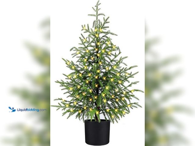 Lot 49-1548274 - 3FT Pre-Lit Artificial Norfolk Pine Christmas Tree – Realistic Potted Tree with 70 LED Lights & 8-Mo...