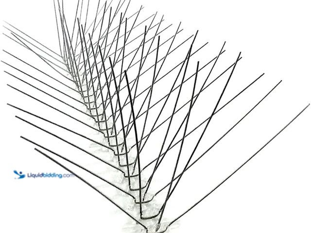 Lot 49-3563853 - Bird-X STS-24 Regular Width 6-inch Stainless Steel Bird Spikes, Metal Pigeon Barrier, 24 Feet 6 Inch...