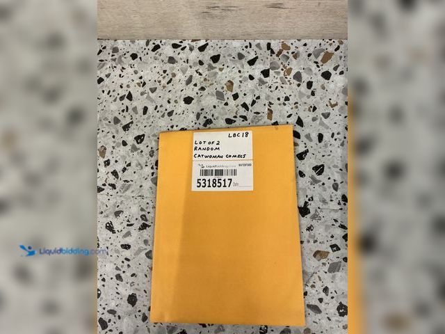 Lot 49-5489305 - Lot of 2 Random DC Catwoman Comics. Unused.