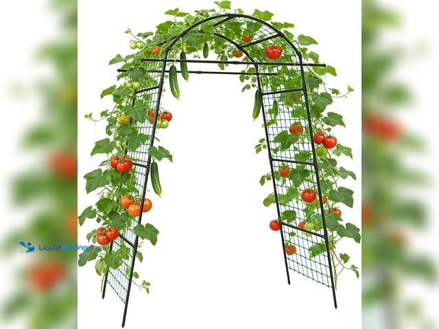 Lot 49-3565833 - DOEWORKS 86 Inch Tall Garden Arch Trellis for Climbing Plants Outdoor,Tall Metal Garden Tunnel Trell...