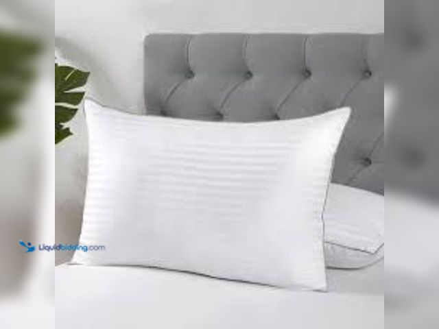 Lot 49-5396798 - 4pc White Pillow Set Unused