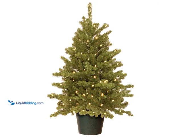 Lot 49-1548119 - 3 ft. Pre-Lit Hampton Spruce Tree with Clear Lights Model #PEHA3-306-30, Unused  Ref#HOL1113