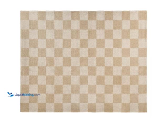 Lot 49-1628100 - StyleWell Harley Cream 6 ft. 7 in. x 9 ft. Checkered Area Rug, Model # 3122141, Unused  Ref#SB0715