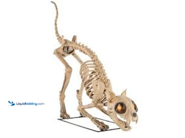 Lot 49-3538900 - 5 Ft. Long Grave & Bones LED Skelly'S Cat H21. Model #842445186860.