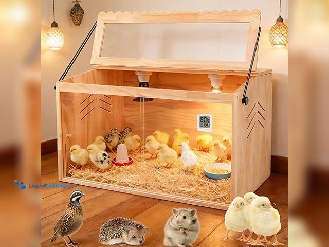 LiquidBidding - Lot 49-1600072 - Chicken Brooder Box, Brooder Box for ...