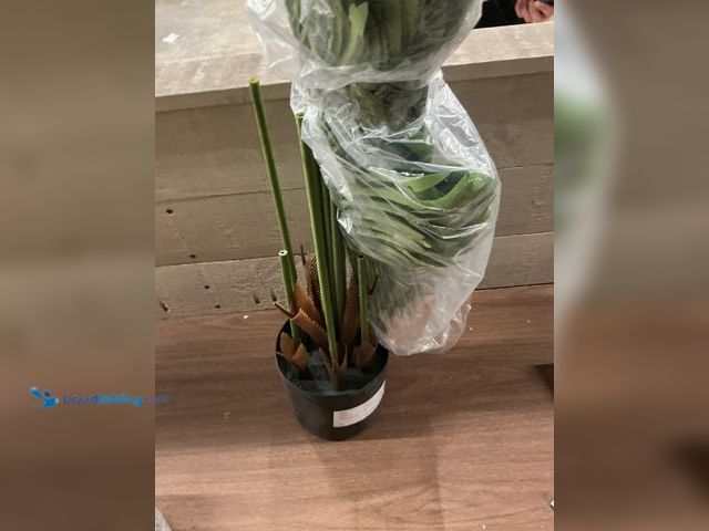 Lot 49-5405769 - 6ft Artifical Palm Tree Plant Unused (no factory pic)