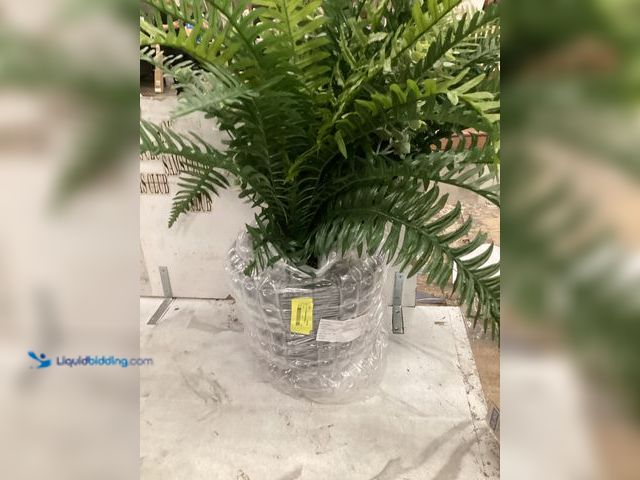 Lot 49-5542869 - Decorative Fake Plant in Pot. Unused