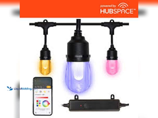 Lot 49-5411847 - Hampton Bay Indoor/Outdoor 12-Light 24 ft. Smart Plug-in Edison Bulb RGBW Color Changing LED String ...