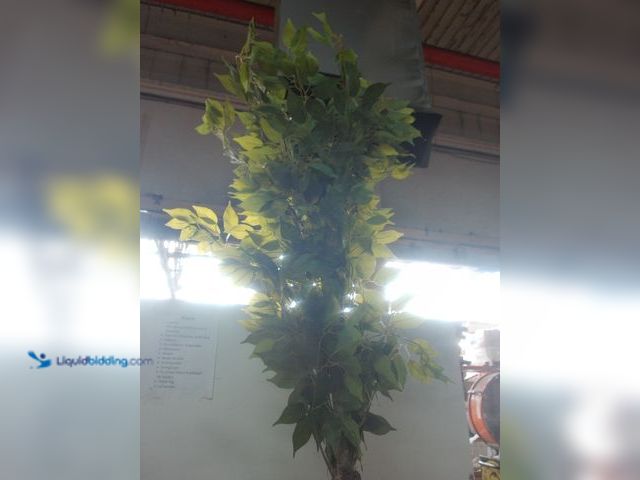 Lot 49-1632025 - 8' Artificial Ficus Tree in Handmade Cotton Planter Basket, Slightly Used (NOTE: Planter is Warped) ...