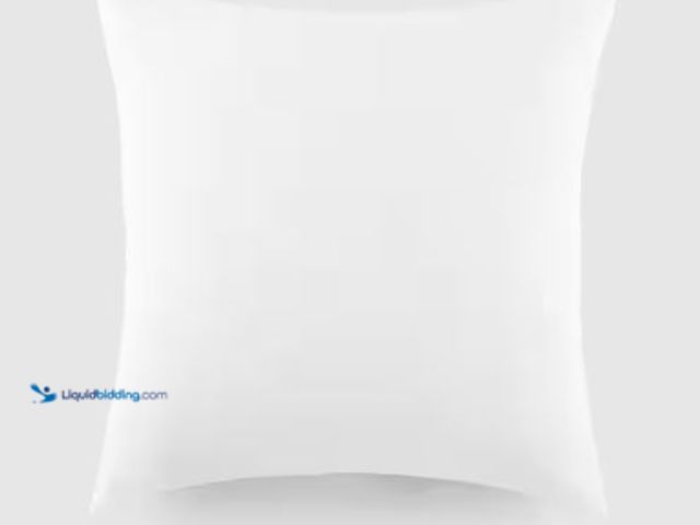 Lot 49-1569365 - Lot of (2) 21x21" Throw Pillow Inserts, Model # INSRT-TPC-SKN20, Unused.  Ref#HDPARELIST