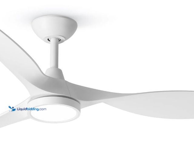 Lot 49-5408638 - Roomratv Ceiling Fans with Lights,Large Airflow 52inch Modern Ceiling Fan with Quite Reversible DC M...