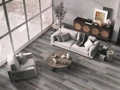 Lot 49-1517737 - undefined