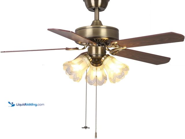 Lot 49-5488292 - 42 Inch Indoor Ceiling Fan with Pull-Chain and Three LED Light Bulbs Base, Traditional 3-Speeds Reve...