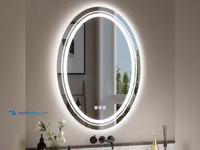 Lot 49-2006159 - ORGANNICE 24 in. W x 32 in. H Oval Frameless LED Light Anti Fog Wall Bathroom Vanity Mirror Front Li...