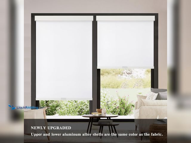 Lot 49-5544083 - AOSKY Blackout Roller Shades Cordless Blinds for Windows, Free-Stop Shades with Valance, Thermal Ins...