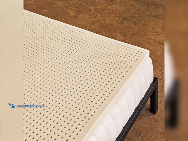 Lot 49-5410259 - Pure Green Natural Latex Mattress Topper - Soft - 2 Inch - Twin Size (GOLS Certified Organic) Unused