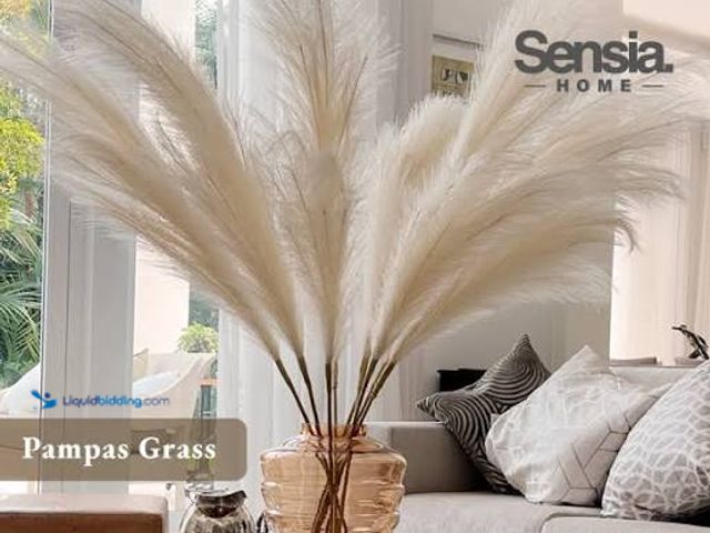 Lot 49-3563603 - Better Homes & Gardens Artificial Indoor Pampas Feathered Stem (6pack) (opened to view) New