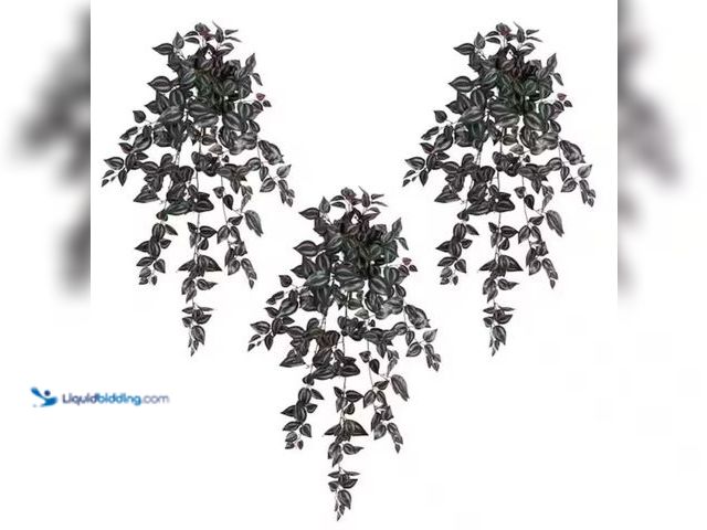 Lot 49-2006753 - Set of (3) Nearly Natural 41 in. UV Resistant Artificial Wandering Jew Hanging Plant (Indoor/Outdoor...