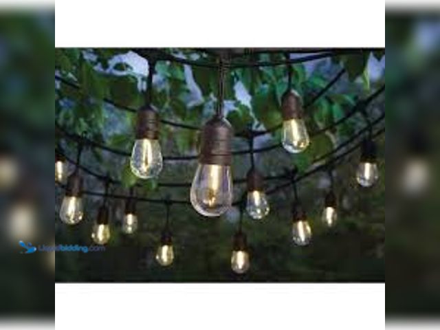 Lot 49-5403997 - Hampton Bay 24-Light 48 ft. Plug-in Indoor/Outdoor Edison Patio String Light with S14 Single Filamen...