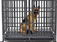 Lot 49-5472412 - undefined