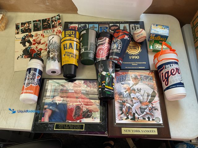Lot 49-3503850 - TABLE LOT OF SPORTS MEMORABILIA AND COLLECTIBLES INCLUDING RED WINGS, UNIVERSITY OF MICHIGAN, DETROI...