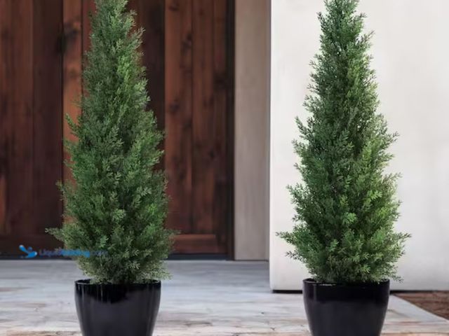 Lot 49-2001084 - Set of (2) DR.Planzen 3 ft. Artificial Indoor/Outdoor Topiary Cedar Tree, Fake Cypress Trees, Fake U...