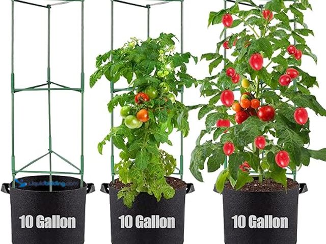 Lot 49-5415162 - Tomato Cages with Grow Bags - 50 Inches Tomato Trellis for Raised Garden Bed, 3-Pack Tomato Plant Su...