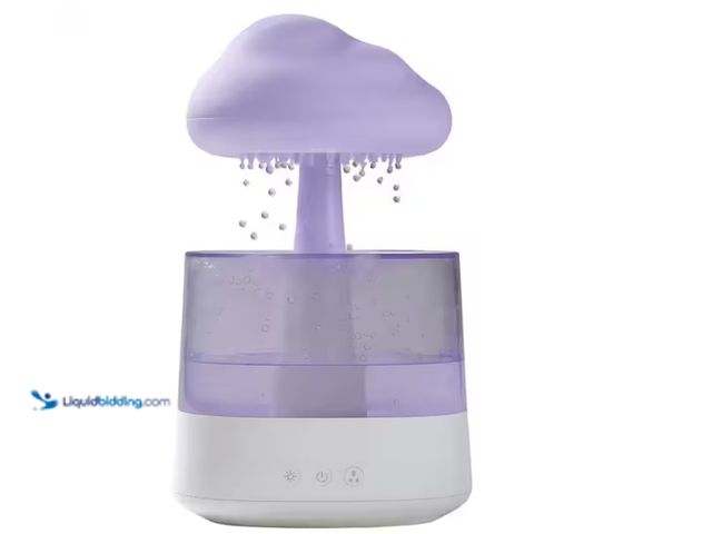 Lot 49-1628182 - Lot of (2) 9 in. Misting Multi-Color 0.3-Watt Integrated T10 LED Bulb Rain Cloud Mood Lamp, Model # ...