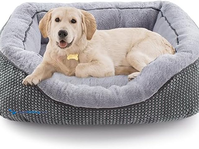 Lot 49-5479093 - INVENHO Medium Dog Beds for Medium Dogs Washable, Rectangle Dog Bed Medium Size Dog, Orthopedic Dog ...