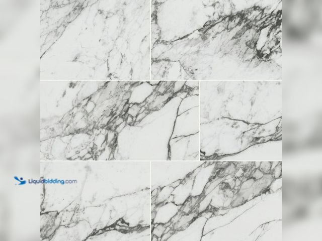 Lot 49-5508823 - Approx 380 sq.ft. MSI
Donatello 16 in. x 32 in. Polished Porcelain Marble Look Floor and Wall Tile ...