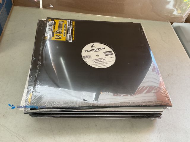 Lot 49-5467371 - Other LOT OF 20 FACTORY SEALED VINYL RECORDS FROM DIFFERENT GENRES AND TITLES INCLUDING FEDERATION, ...