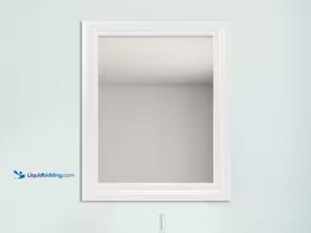 Lot 49-1568390 - Glacier Bay 23.5 in. W x 28.5 in. H Rectangular PS Framed Wall Bathroom Vanity Mirror in White (Scre...