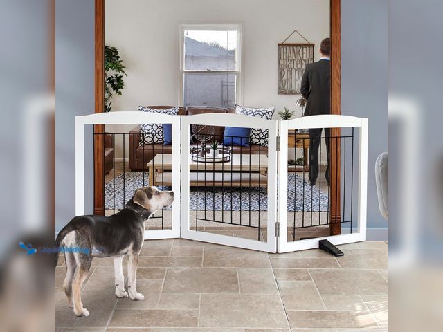 Lot 49-3527493 - ZJSF Freestanding Dog Fence Indoor, Foldable Dog Gate for Doorways, Stairs or Hallways, Sturdy Wood ...