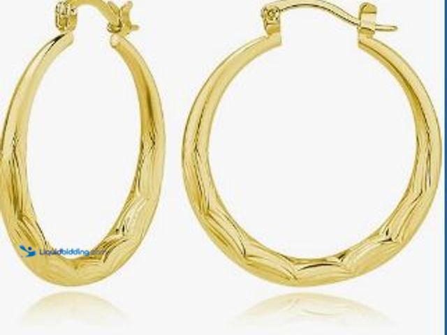 Lot 49-1522663 - 14K Gold Hoop Earrings for Women Ripple Line 14K Gold Earrings for Women Trendy Lightweight Earring ...