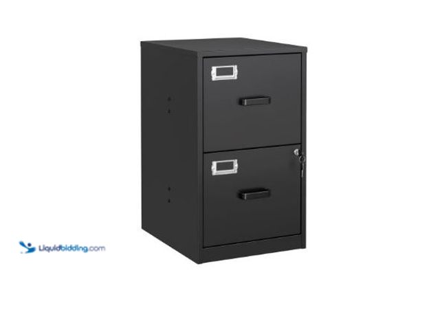 Lot 49-3473667 - STANI 2 Drawer Filing Cabinet with Lock, Metal Vertical File Storage Cabinets for Home Office, Lette...