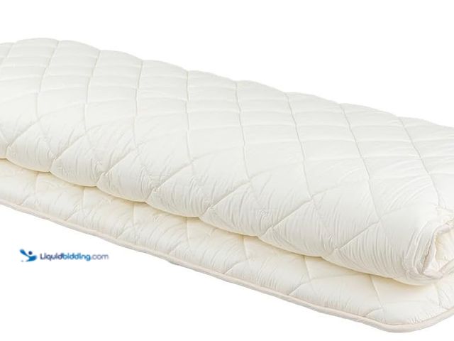 Lot 49-1516816 - FULI Japanese Futon, Foldable & Portable Floor Lounger Bed, Roll Up Sleeping Pad, Shikibuton, Made i...
